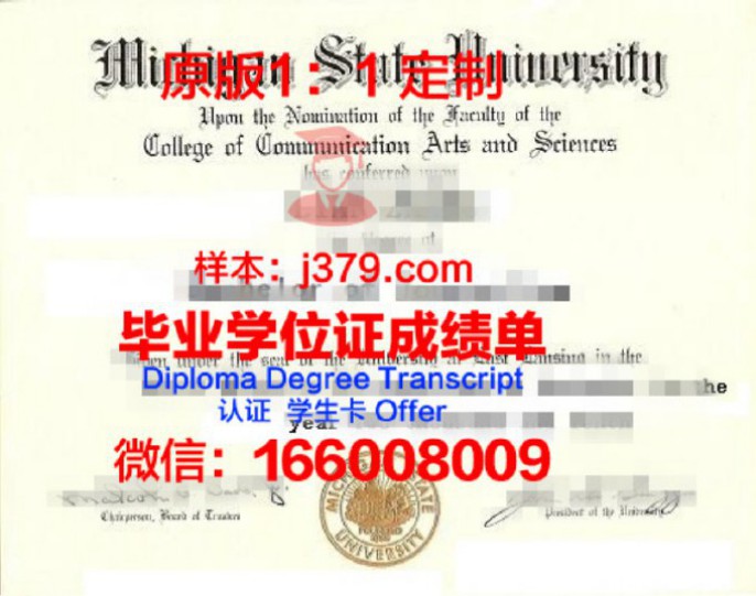 密歇根州立大学学位文凭定制：量身打造专属你的学历证书