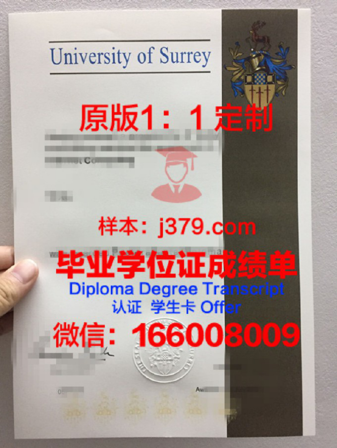 萨里大学录取通知书OFFER定制，开启留学新篇章