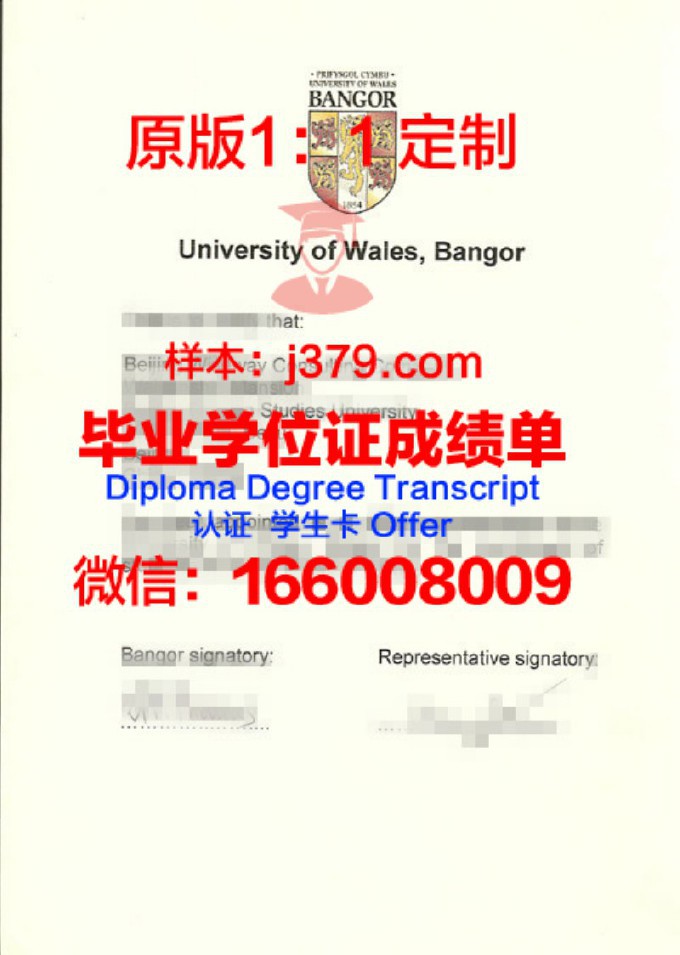 班戈大学diploma证书(班戈大学商学院)