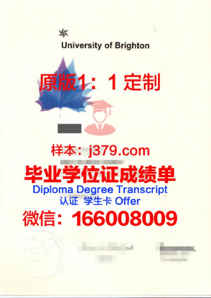 英国布莱顿大学毕业证书图片(布莱顿大学是英国名校吗)