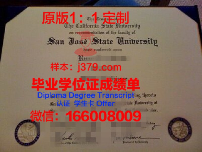 韦恩州立大学diploma证书(韦伯州立大学世界排名)