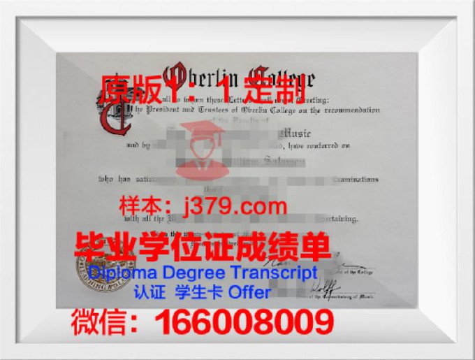 柏林商学院校园卡(柏林商学院mba)