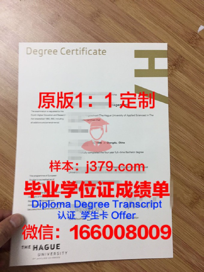 海波特大学毕业证外壳(海牙大学毕业证)