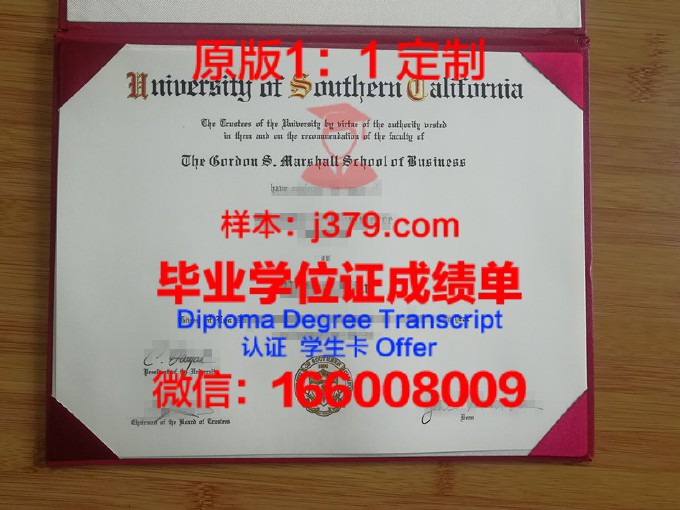 南加州大学成绩单查询(南加州大学什么时候出结果)