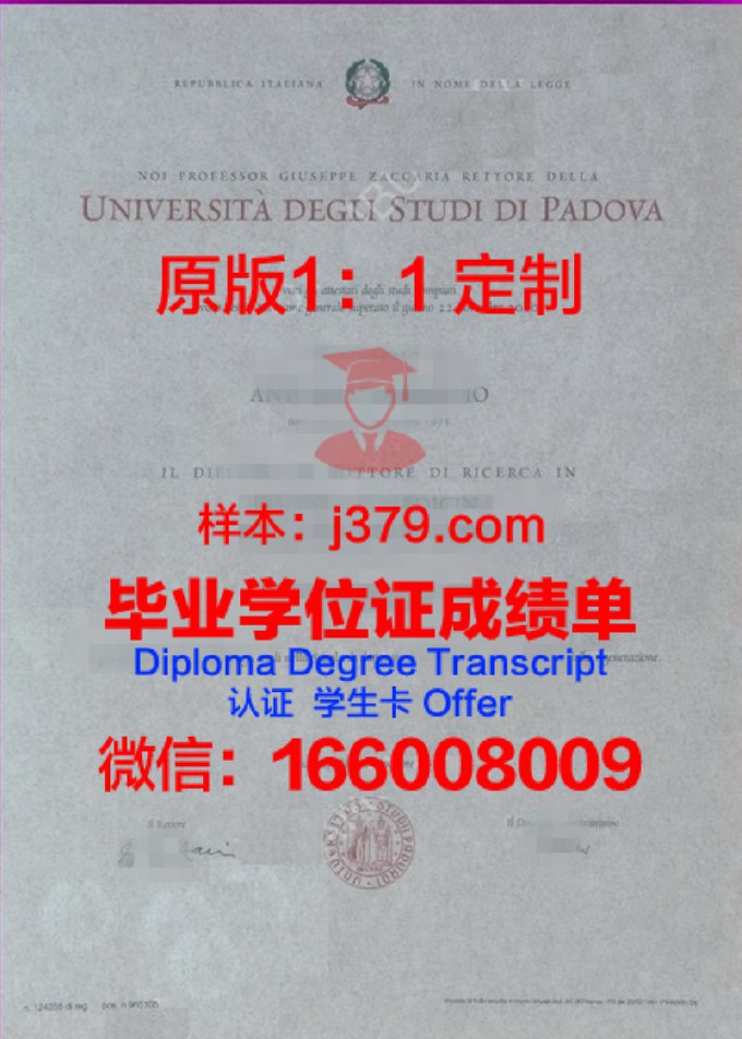 帕多瓦大学毕业证是什么样呢(帕多瓦大学英语授课硕士)