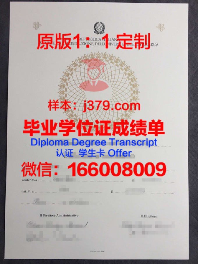 沃罗涅日高等技术学院diploma证书(沃罗涅日师范大学)