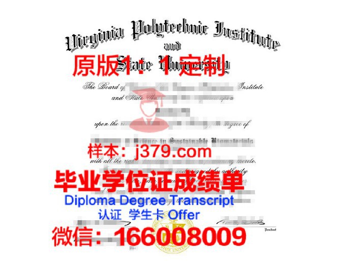 塔林理工大学博士毕业证书(塔林理工大学博士毕业证书样本)