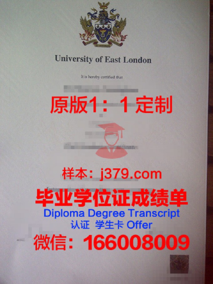 伦敦大学皇家霍洛威学院diploma证书(伦敦大学皇家霍洛威学院商学院)