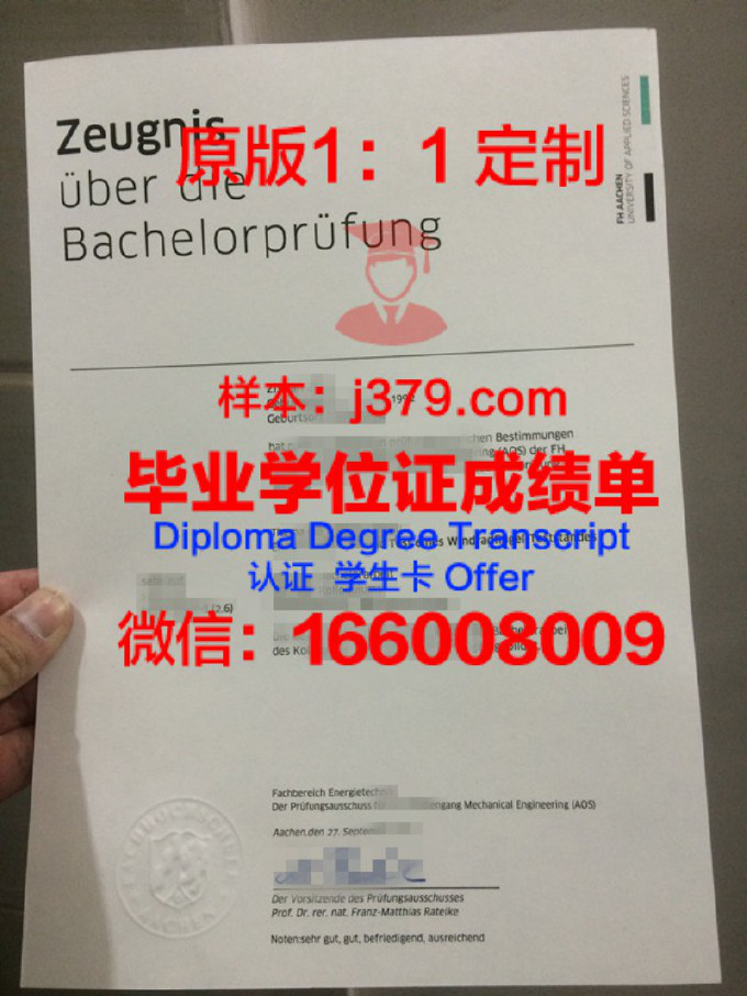 科特布斯勃兰登堡工业大学毕业证补办(科特布斯勃兰登堡工业大学怎样)