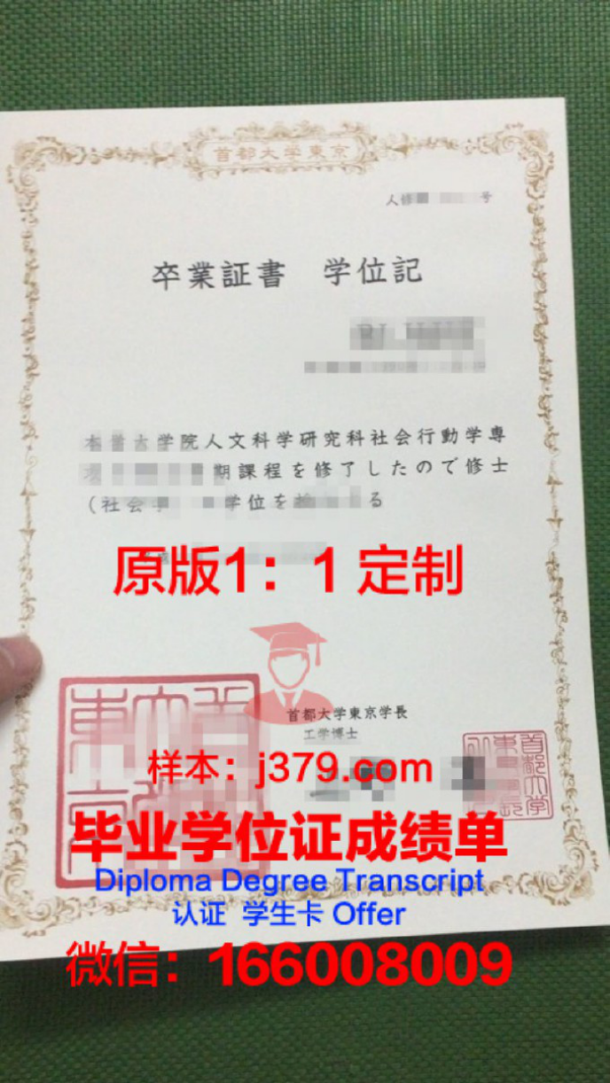 新宿情报商务专门学校成绩单——揭示日本教育特色与启示