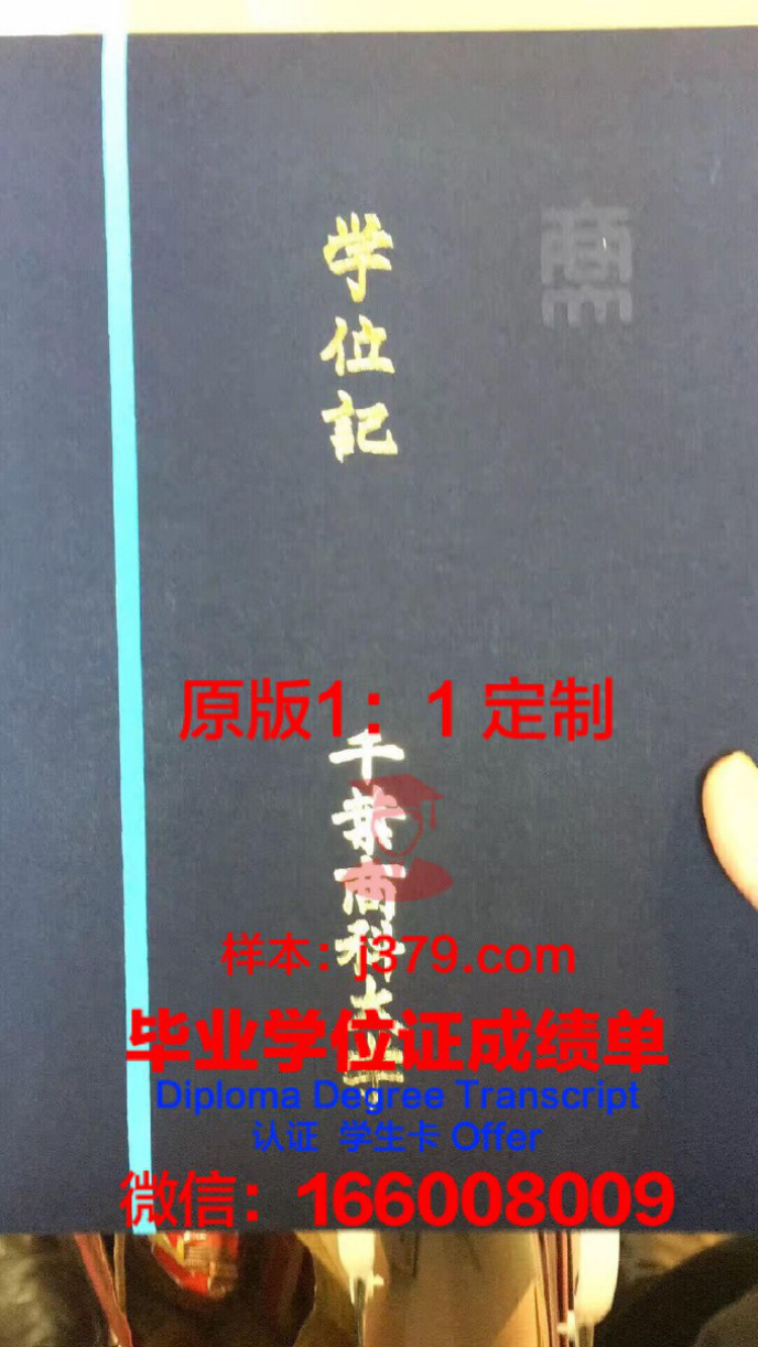 探索东京商科法科学院专门学校录取通知书OFFER定制之谜