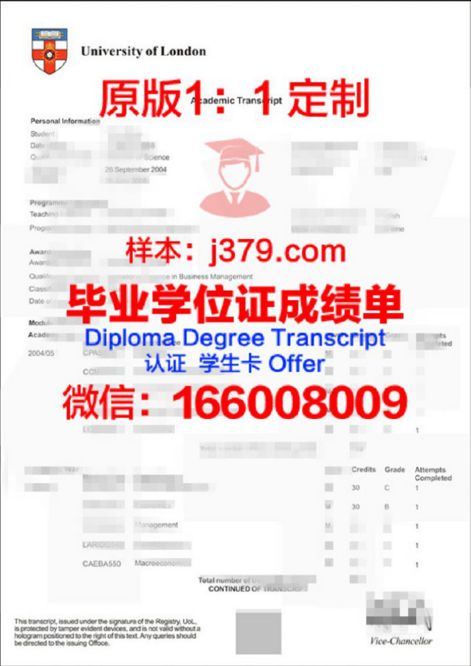 揭秘英国伦敦大学伯贝克学院排名：实力与声誉并存