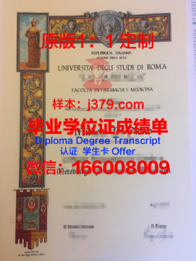 UniRoma2毕业证定制：揭开罗马二大毕业证书的神秘面纱